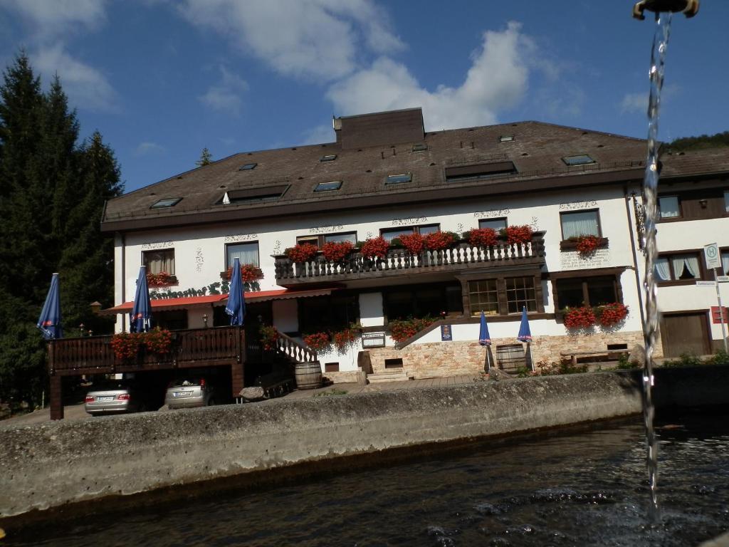 Landhotel Lowen Hotel 3*
